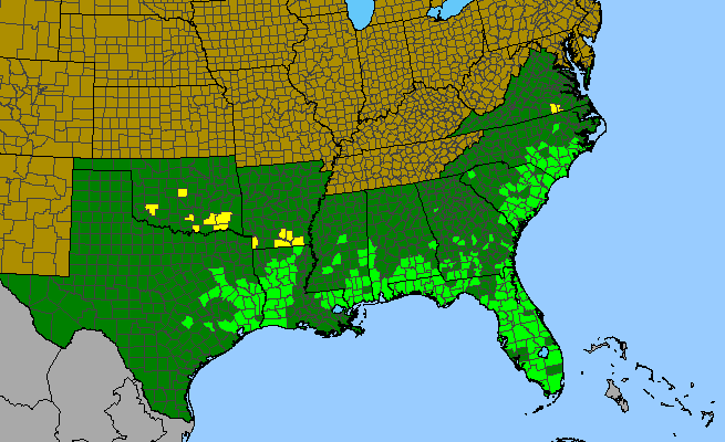 The range of Mitreola sessilifolia